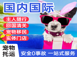 张孝航空快递国际宠物托运 【国